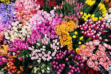 NS《Love Live! 虹咲学园校园偶像同好会 心动闪耀的未来蓝图》亚洲中文版发售决定！