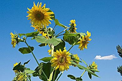 KK对战平台×雷神加速器，畅玩RPG，极速由我掌控！